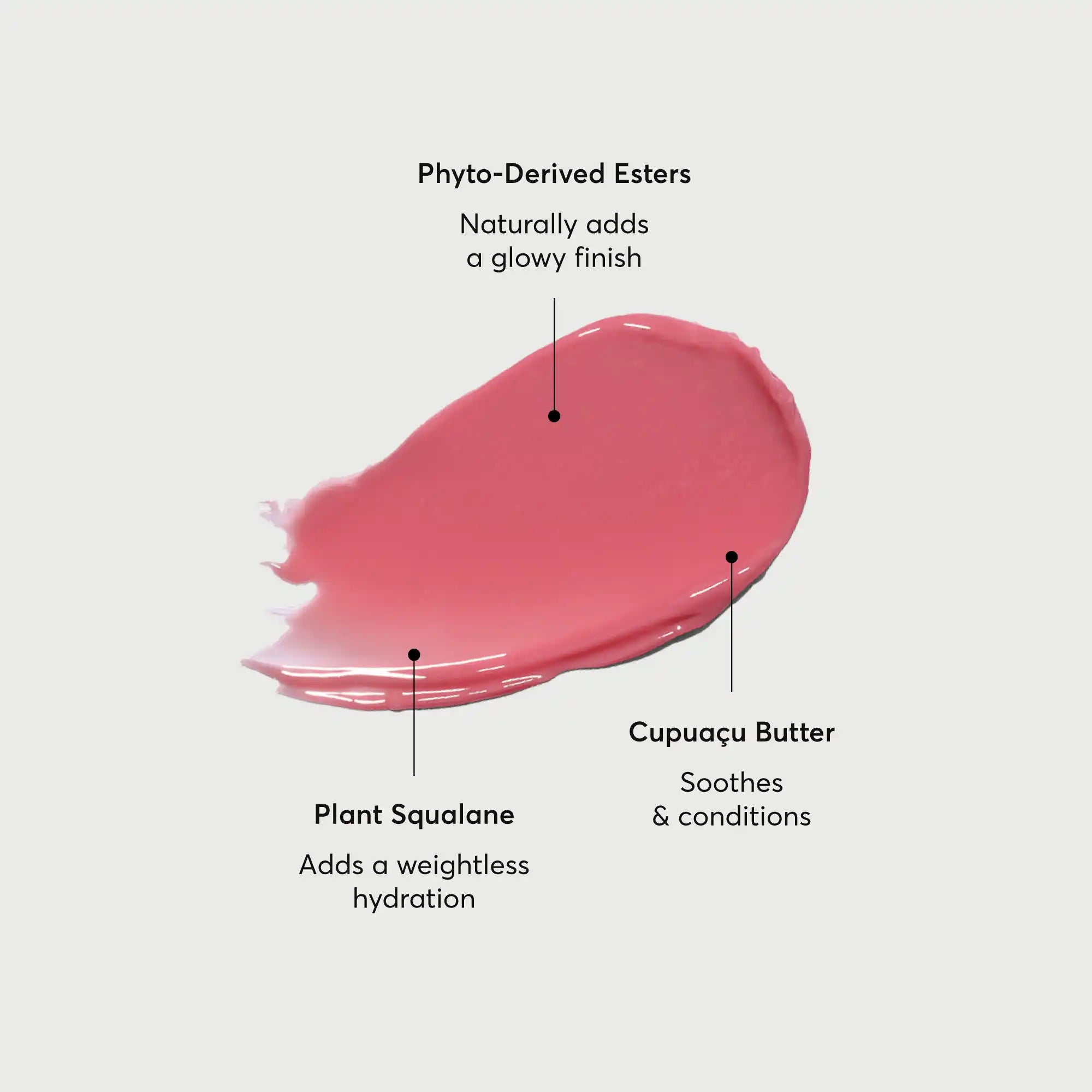 NATR-60067-Alt-Images-Phyto-Glow-Lip-Balm-Petal-01.jpg